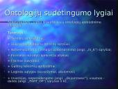 Ontologijos ir ontologijos sistemos 4 puslapis