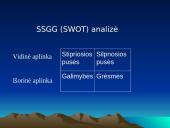 Organizacijos aplinka ir jos analizė 11 puslapis