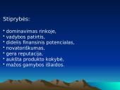 Organizacijos aplinka ir jos analizė 12 puslapis