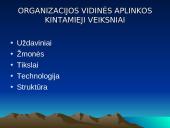 Organizacijos aplinka ir jos analizė 17 puslapis