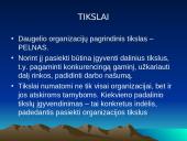 Organizacijos aplinka ir jos analizė 20 puslapis