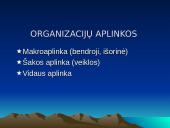 Organizacijos aplinka ir jos analizė 3 puslapis