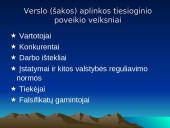 Organizacijos aplinka ir jos analizė 8 puslapis