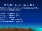 Organizacijos aplinka ir jos analizė 9 puslapis