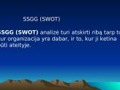 Organizacijos aplinka ir jos analizė 10 puslapis