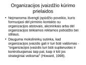 Organizacijos įvaizdis ir jo kūrimas 4 puslapis