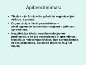 Organizacijos tikslų visuma bei svarba 11 puslapis