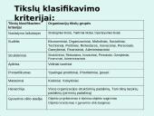 Organizacijos tikslų visuma bei svarba 6 puslapis