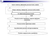 Organizacijos veiklos procesų transformavimas 12 puslapis