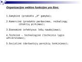 Organizacijos veiklos procesų transformavimas 7 puslapis