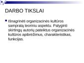 Organizacinė kultūra teoriniu aspektu 2 puslapis