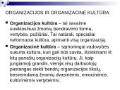 Organizacinė kultūra teoriniu aspektu 3 puslapis