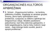 Organizacinė kultūra teoriniu aspektu 4 puslapis