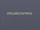 Organizavimas įmonėse