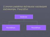 Organizavimas įmonėse 17 puslapis