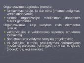 Organizavimas įmonėse 3 puslapis
