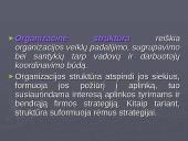 Organizavimas įmonėse 5 puslapis