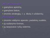 Organizavimas įmonėse 6 puslapis