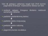 Organizavimas įmonėse 9 puslapis