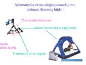 Organizmo adaptacija ir fizinis darbingumas įvairiomis įšorinės aplinkos sąlygomis 14 puslapis
