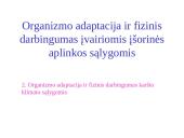 Organizmo adaptacija ir fizinis darbingumas įvairiomis įšorinės aplinkos sąlygomis 15 puslapis