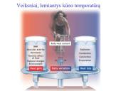 Organizmo adaptacija ir fizinis darbingumas įvairiomis įšorinės aplinkos sąlygomis 16 puslapis