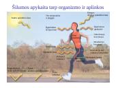 Organizmo adaptacija ir fizinis darbingumas įvairiomis įšorinės aplinkos sąlygomis 18 puslapis