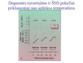 Organizmo adaptacija ir fizinis darbingumas įvairiomis įšorinės aplinkos sąlygomis 20 puslapis