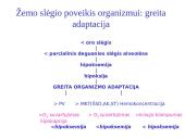 Organizmo adaptacija ir fizinis darbingumas įvairiomis įšorinės aplinkos sąlygomis 3 puslapis
