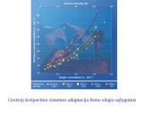 Organizmo adaptacija ir fizinis darbingumas įvairiomis įšorinės aplinkos sąlygomis 4 puslapis