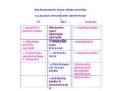 Organizmo adaptacija ir fizinis darbingumas įvairiomis įšorinės aplinkos sąlygomis 5 puslapis