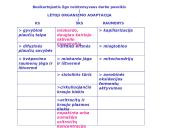 Organizmo adaptacija ir fizinis darbingumas įvairiomis įšorinės aplinkos sąlygomis 6 puslapis