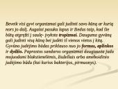 Organizmų judėjimas ir atrama 2 puslapis