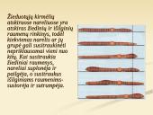 Organizmų judėjimas ir atrama 12 puslapis