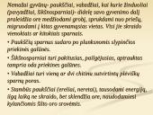 Organizmų judėjimas ir atrama 16 puslapis