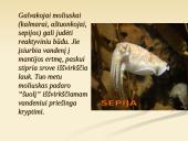 Organizmų judėjimas ir atrama 20 puslapis