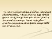 Organizmų judėjimas ir atrama 9 puslapis