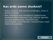 Ozono sluoksnis. Jo irimas 11 puslapis