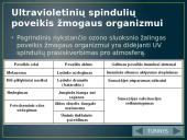 Ozono sluoksnis. Jo irimas 18 puslapis