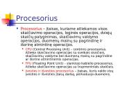 Pagrindinės informacinių technologijų (IT) sąvokos 12 puslapis