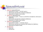 Pagrindinės informacinių technologijų (IT) sąvokos 17 puslapis