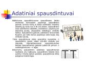 Pagrindinės informacinių technologijų (IT) sąvokos 18 puslapis