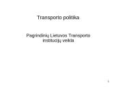Pagrindinių Lietuvos Transporto institucijų veikla