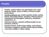 Paklausa. Pasiūla 4 puslapis