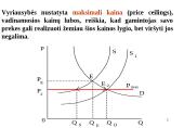 Paklausos ir pasiūlos analizės pagrindai 19 puslapis