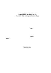 Portfelio teorija