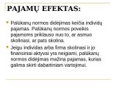 Palūkanos ir pajamos 13 puslapis