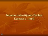 Pamoka: barokas ir vargonai 3 puslapis