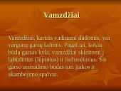 Pamoka: barokas ir vargonai 7 puslapis