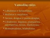 Pamoka: barokas ir vargonai 8 puslapis